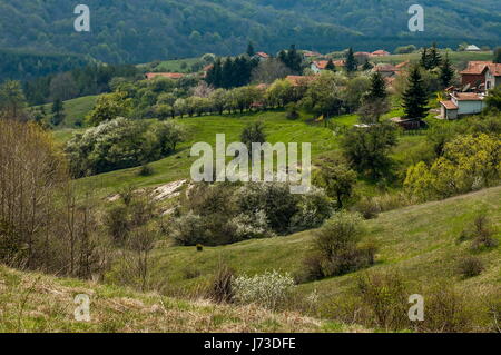 Wohnviertel der bulgarischen Dorf Plana in Wald und verschiedene Bäume mit Blatt und Blüte Stockfoto