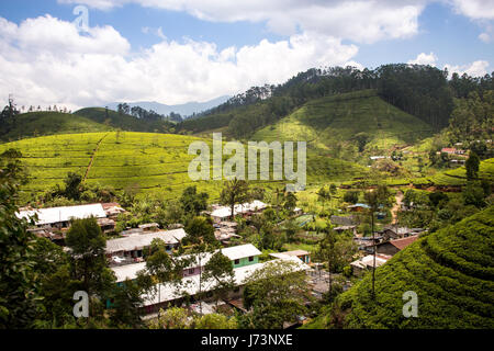 Ländliche Bergdörfer unter Teeplantagen im Hochland von Sri Lanka. Betrachtet aus dem Zug nach Nuwara Eliya. Stockfoto