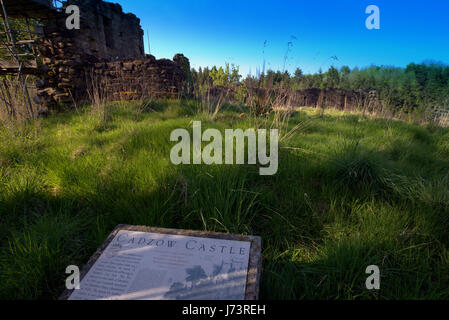 Chatelherault Country Park Cadzow Burg Stockfoto