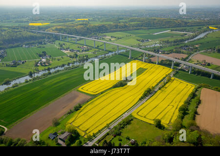 Ruhrtalbrücke, Mintarder Brücke Über Die Ruhr, Autobahn A52, danach Rapsfeld, Ruhrtal, Mülheim an der Ruhr, Ruhrgebiet, Nordrhein-Westfalen, Balticborg Stockfoto