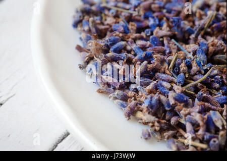Platte mit trockenen Lavendel Blumen auf weiß Stockfoto