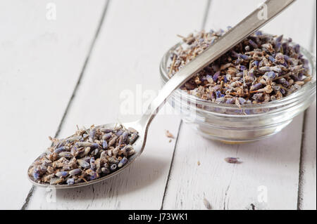 Trocken Sie, Lavendelblüten und ätherisches Öl auf weißem Hintergrund. Aromaöl in transparente Schüssel. Es gibt viele getrocknete Samen aus transparentem Glas trockenen violetten Blüten umgeben. Erwachen der Sinne. Stockfoto
