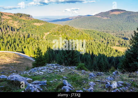 Klassische Karpaten Landschaft. Herbstlandschaft in Bergen von Rumänien. Nadelwald auf den Hängen des Apuseni-Nationalparks. Frisch und grün Bäume in Stockfoto