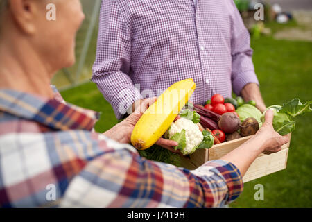 Älteres Paar mit Box Gemüse auf Bauernhof Stockfoto