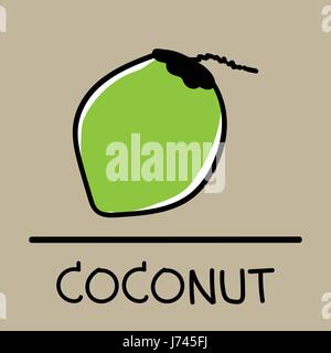 Kokosnuss handgezeichneten Stil, Zeichnung, wie von Hand gezeichnet, Abbildung. Stock Vektor
