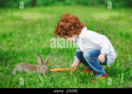 junge Kaninchen mit Karotte im Park füttern Stockfoto