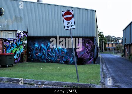 Kein Eintrag Zeichen vor einem Graffiti von unbekannten Künstler. Graffito. Graffiti auf eine Mauer, bauen, Rasen, Gasse, Straße wie am 21. Mai 2017 in Au zurück Stockfoto