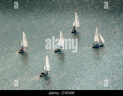 Segelregatta am See Baldeney, Segelboote, Segelboot Race, Blauwasser, Stausee, Erholung, Segeln, Essen, Ruhrgebiet, Nordrhein-Westp Stockfoto