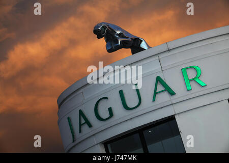 Das Logo des Luxus Auto Hersteller Jaguar sitting on Top of Pentland Jaguar Showroom in Edinburgh mit dem Himmel, beleuchtet von der untergehenden Sonne als Kulisse Stockfoto