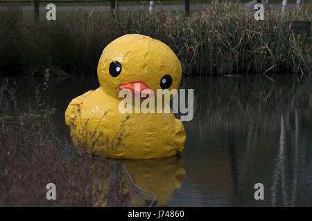 Aussicht vom WWT London Wetland Centre in Barnes Stockfoto