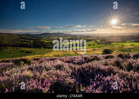 Die Cleveland Hills von Kildale Moor, North Yorks Moors Nationalpark Stockfoto