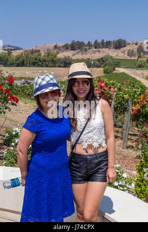 Touristen, Besucher, Chateau, Domaine Carneros, Napa, Napa Valley, Napa County, California, Vereinigte Staaten von Amerika Stockfoto