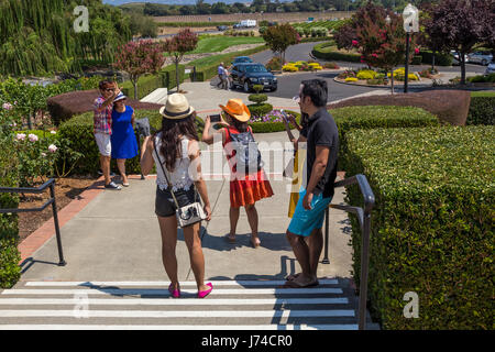 Touristen, Besucher, Chateau, Domaine Carneros, Napa, Napa Valley, Napa County, California, Vereinigte Staaten von Amerika Stockfoto