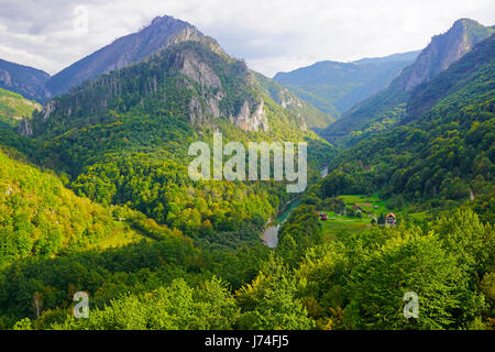 Der Fluss Tara Canyon im Montenegros Durmitor National Park. Stockfoto