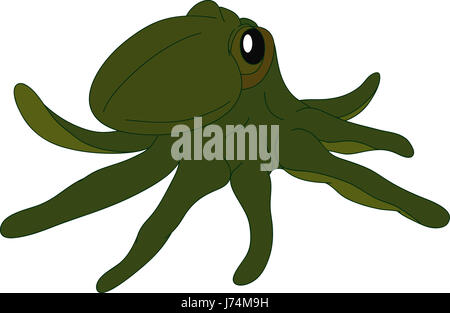 Abbildung Farbe Octopus Cartoon Kunst isolierte Farbe Grafik zeichnen Stockfoto