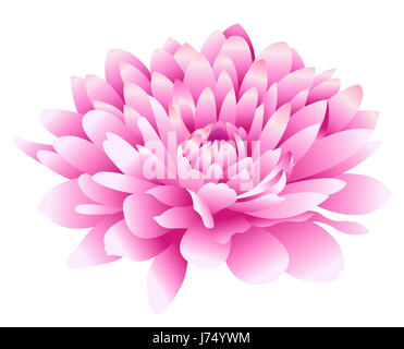 Blume Pflanze Pfingstrose Blütenblatt rosa schöne beauteously schöne Makro Nahaufnahme Makro Stockfoto