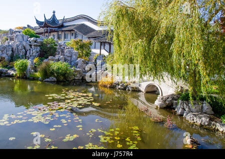 Dunedin, Neuseeland - Mai 3,2016: See des Chinesischen Garten Dunedin in Neuseeland. Stockfoto