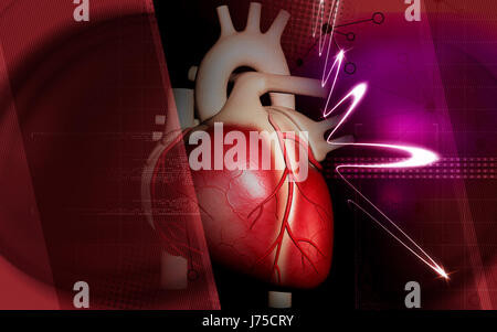 Bildung Gesundheit medizinisch medizinische Zirkulation Grafiken Farbe Wissenschaft menschlichen Stockfoto