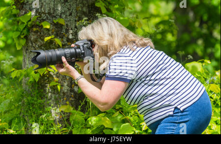 Fotografin mit einem langen Objektiv und Kamera im Sommer in der britischen Landschaft. Stockfoto