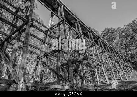 Eine trostlos wirkende Brücke steht hoch in der stillen Lichtung.  Schwarz / weiß Foto der restaurierten Holz Gestell Eisenbahnbrücke Stockfoto