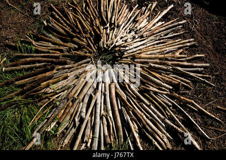 Landhausstil mit Holz als Kreis Stockfoto