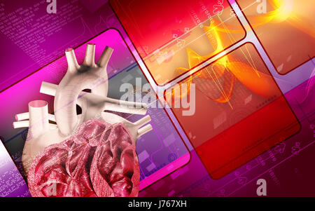 Bildung Gesundheit medizinisch medizinische Zirkulation Grafiken Farbe Wissenschaft menschlichen Stockfoto