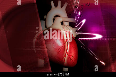 Bildung Gesundheit medizinisch medizinische Zirkulation Grafiken Farbe Wissenschaft menschlichen Stockfoto