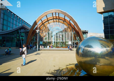 Sheffield Wintergarten (2003) einer der größten gemäßigten Gewächshäuser in Großbritannien, Sheffield, South Yorkshire, England Stockfoto