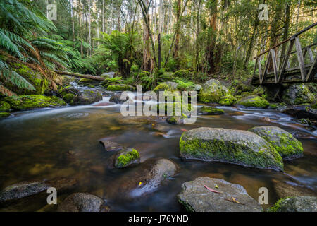 Ein Bach schlängelt sich vorbei an eine rustikale Brücke und durch eine Landschaft mit Bäumen dicht. Stockfoto