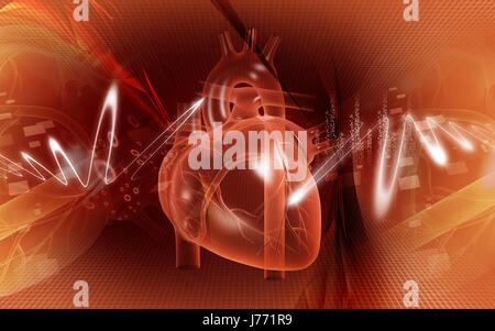 Bildung Gesundheit medizinisch medizinische Zirkulation Grafiken Farbe Wissenschaft menschlichen Stockfoto