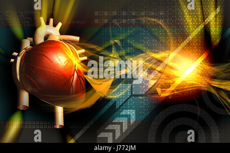 Bildung Gesundheit medizinisch medizinische Zirkulation Grafiken Farbe Wissenschaft menschlichen Stockfoto