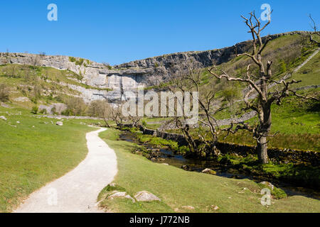 Fußweg zur Malham Cove nach Pennine Way Trail Weg neben Malham Beck Malham Yorkshire Dales National Park North Yorkshire England Großbritannien Großbritannien Stockfoto