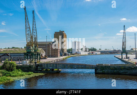 Schärfe-Docks auf dem Fluss Severn Gloucestershire Stockfoto