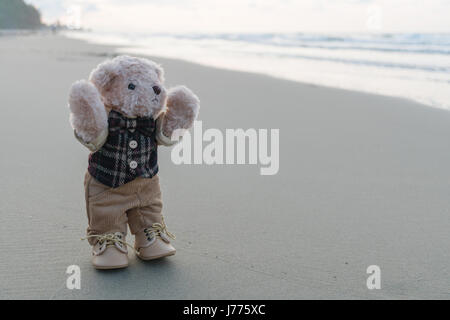 Teddybär stehend am Strand Stockfoto