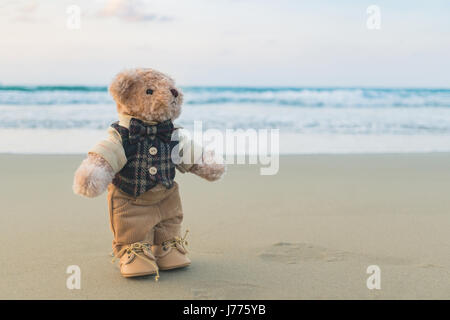 Teddybär stehend am Strand Stockfoto