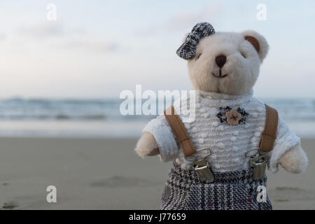 Teddybär stehend am Strand Stockfoto