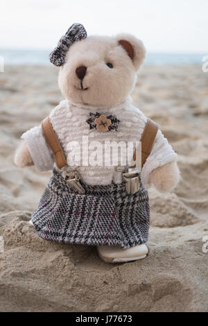 Teddybär stehend am Strand Stockfoto