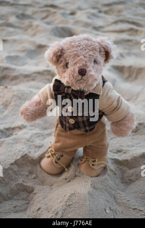 Teddybär stehend am Strand Stockfoto