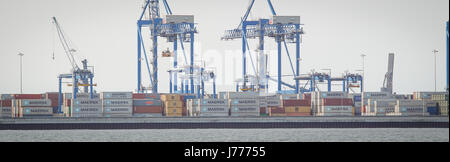 Deepwater Container-terminal (DCT) am Norht Terminal in Danzig wird am 20. Mai 2017 gesehen. Der Hafen ist einer der am schnellsten wachsenden in der Ostsee r Stockfoto