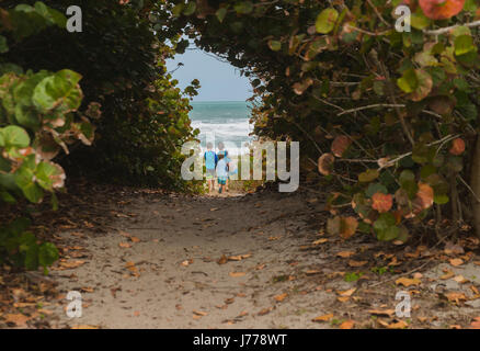 Rückansicht der Brüder zu Fuß in Richtung Strand, gesehen durch Pflanzen Stockfoto