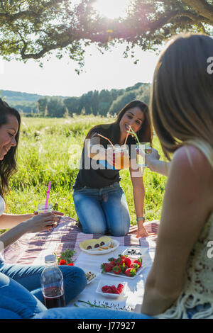 Lächelnden Freundinnen Toasten Saft beim Picknick am sonnigen Tag Stockfoto