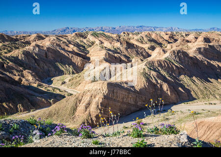 Die Wüste Ödland der Anza Borrego Desert State Park, in der Nähe von Borrego Springs, Kalifornien, USA. Stockfoto