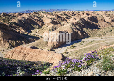 Die Wüste Ödland der Anza Borrego Desert State Park, in der Nähe von Borrego Springs, Kalifornien, USA. Stockfoto