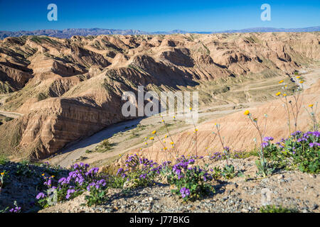 Die Wüste Ödland der Anza Borrego Desert State Park, in der Nähe von Borrego Springs, Kalifornien, USA. Stockfoto