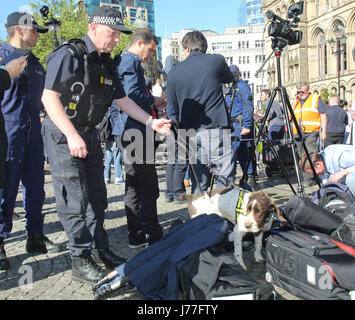 Albert Square, Manchester, UK. 23. Mai 2017. Polizei-Einsatz Spürhunde am Abend Mahnwache am Albert Square 23.5.2017 Rathausplatz nach Bombenanschlag in Manchester Arena in der Nacht vom 22.5.2017 wo Popkonzert mit Ariana Grande stattfand. Bildnachweis: GARY ROBERTS/Alamy Live-Nachrichten Stockfoto