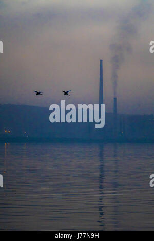 Mumbai, Maharashtra, Indien. 2. Februar 2015. 22. Februar 2017 - Mumbai - Indien. Flamingos und andere wilde Vögel fliegen über die Skyline von Mumbai mit Rauch wogenden Industrieschornsteine in den Boden im Morgengrauen zurück. Bildnachweis: Subhash Sharma/ZUMA Draht/Alamy Live-Nachrichten Stockfoto