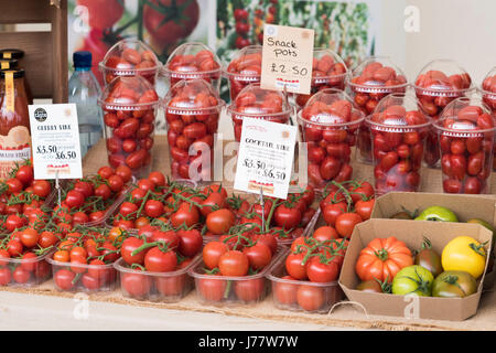 Bio-Tomaten für den Verkauf in Daylesford Organic farm Shop Sommerfest. Daylesford, Cotswolds, Gloucestershire, England Stockfoto