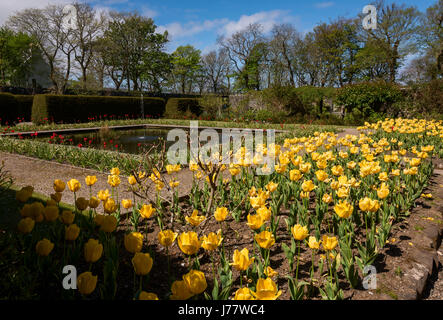 Der ummauerte Garten bei Dunvegan Castle auf der Isle Of Skye Stockfoto