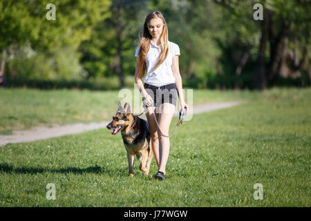 Teenager-Mädchen in weißen Hemd mit ihrem Schäferhund-Hund im Park spazieren Stockfoto