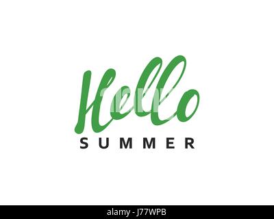 Schriftzug Hallo Sommer Kalligraphie Hand gezeichnet. Stock Vektor